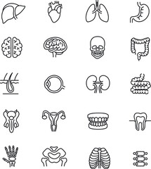 human internal organ line icons