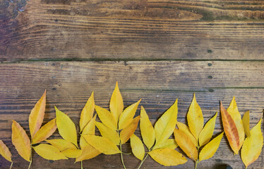 Old wooden background with yellow leaves