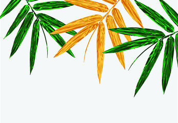 Bamboo leaf composition in design. Vector romantic landscape with bamboo trees , various attractive colors make an exclusive design