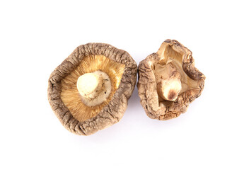 Two dried mushrooms on white background