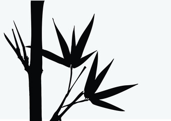 Bamboo leaf composition in design. Vector romantic landscape with bamboo trees on a white and gray background, and various attractive colors make an exclusive design