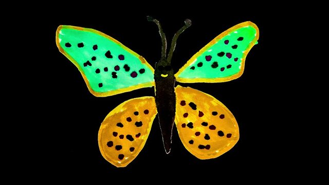 Happy Butterfly Darwing Loop Animation