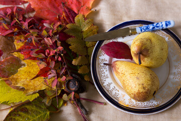 Flat lay selective focus view of table set with pears on pretty antique plate and knife, with bunch of colourful autumn leaves