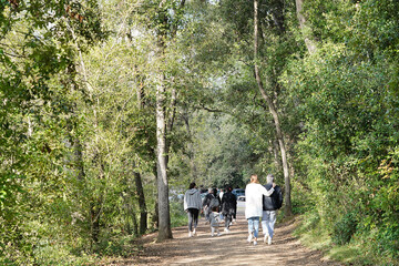 Fototapeta na wymiar People walk along the path, strolling Sunday afternoon in the Vaugrenier park.