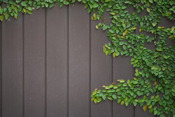 Wood and leaf texture background