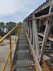 Storage of wood chips by conveyer. Wood chips used as raw materials in the production of pulp&peper