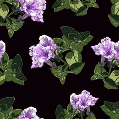 Seamless floral pattern. Petunia vector wallpaper. Beautiful pink lilac flowers, green leaves on dark background. - 386538150
