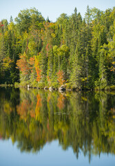 vertical scenic reflection of fall colored trees in calm lake water 