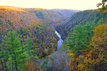 The aerial view of the striking colors of fall foliage and the river near Grand Canyon of Pennsylvania, U.S