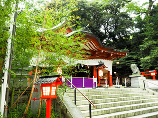来宮神社　狛犬　熱海　熱海市　神社　
