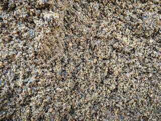Detailed texture of coarse sand, top view. Important material in concrete mixing, background image.