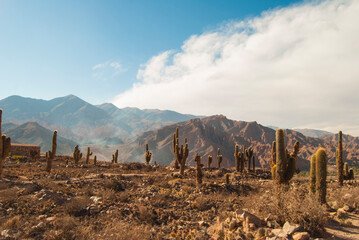 landscape of the mountains