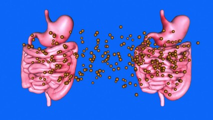 Fecal transplant. Human Microbiome , bacteria transferred from healthy to unhealthy stomach. 3d animation rendering