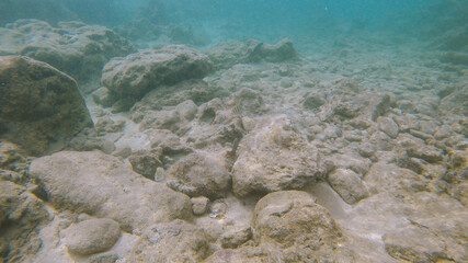 Snorkeling, Sharks Cove, North shore, Hawaii
