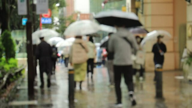 雨の日　東京　表参道　週末　傘をさして歩く人々　スローモーション撮影　アウトフォーカス