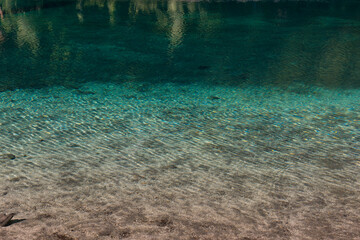 underwater view of a reef