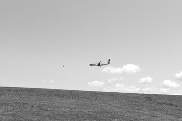 birds in flight and aeroplane