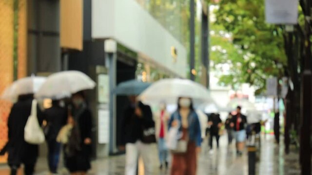 雨の日　東京　表参道　週末　傘をさして歩く人々　スローモーション撮影　アウトフォーカス