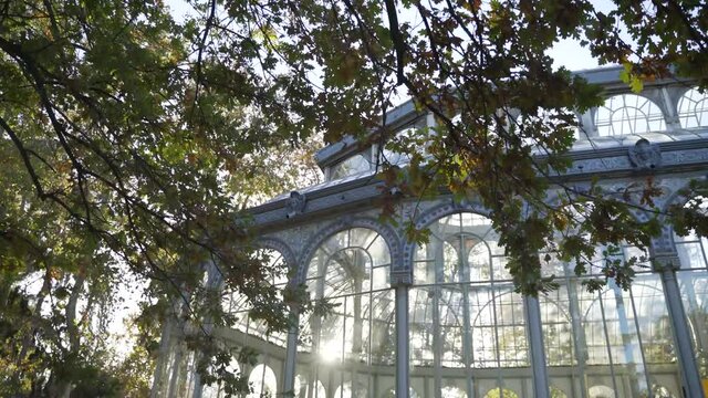 A strong wind blows against the leaves at Glass Palace, the Crystal Palace in Retiro Park, Madrid, Spain.