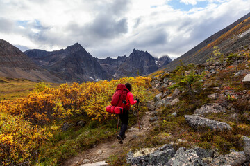 Naklejka na ściany i meble Woman Backpacking on Scenic Hiking Trail surrounded by Rugged Mountains during Fall in Canadian Nature. Taken in Tombstone Territorial Park, Yukon, Canada.