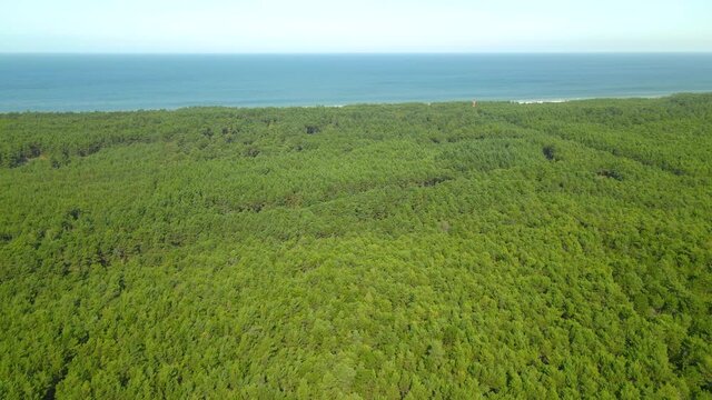 Drone slide motion along the baltic sea coast and green forest, Stilo Lighthouse in Osetnik, Polish coast of the Baltic Sea