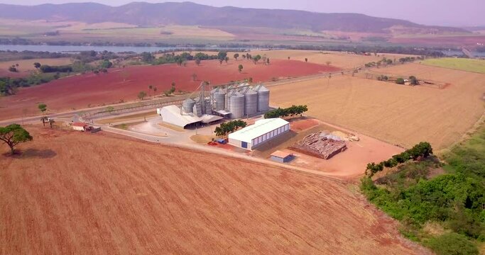 Grains stored in silos in the field. Rice, corn, wheat, soy, cereals. Aerial drone image.