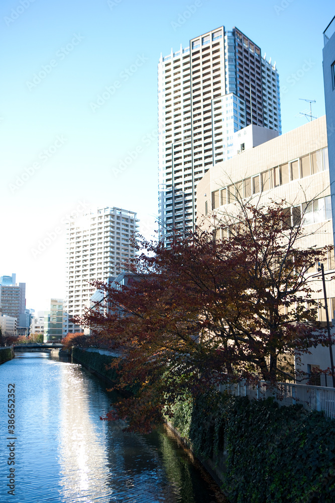 Wall mural 高層マンション