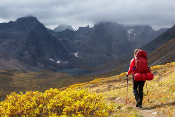 Fototapeta premium Woman Backpacking on Scenic Hiking Trail to Lake surrounded by Mountains during Fall in Canadian Nature. Taken in Tombstone Territorial Park, Yukon, Canada.