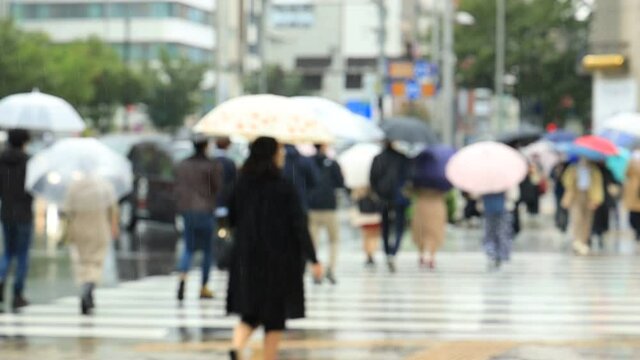 雨の日　東京　表参道　週末　傘をさして歩く人々　スローモーション撮影　ぼかし