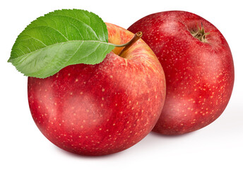 Two red apples with a beautiful green leaf