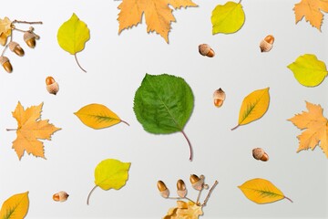 Obraz premium Above.