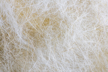 Obraz premium macro, close up. Bunch of dog's hair fur after brushing and grooming.