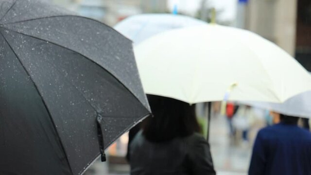 雨の東京　表参道　傘をさして横断歩道を歩く人々　スローモーション撮影　ぼかし