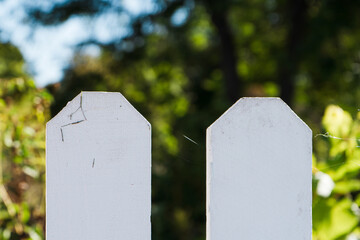 Fototapeta premium Picket Fence