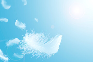 Soft light fluffy a feathers floating in the sky. Feather abstract freedom concept background. 