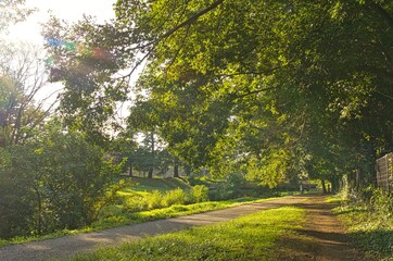 野川公園の小道