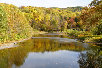 The striking colors of fall foliage by the river near Tunkhannock, Pennsylvania, U.S