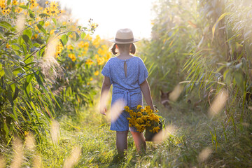 Little toddler in autumn flower field