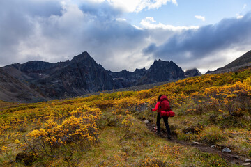 Fototapeta na wymiar Girl Backpacking on Scenic Hiking Trail surrounded by Rugged Mountains during Fall in Canadian Nature. Taken in Tombstone Territorial Park, Yukon, Canada.