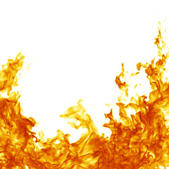 Fire flame isolated on white background