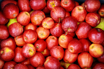 Shiny red apples. Healthy diet food concept.