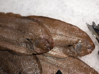 High resolution Nasty looking fish flounder  from the baltic sea on ice in a fish market