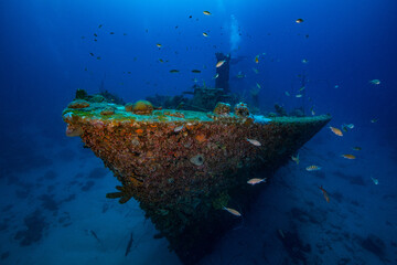 Unterwasserfoto Tauchen Ocean Wrack Wracktauchen