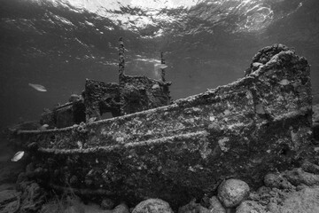 Obraz premium Unterwasserfoto Tauchen Ocean 