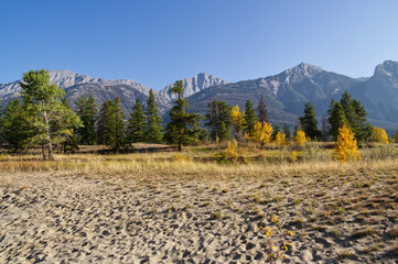 Autumn in the Mountains