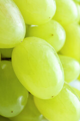 Ripe green grapes as background, closeup