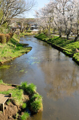 桂川