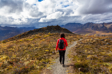 Fototapeta premium Scenic View of Woman Hiking on a Cloudy Fall Day in Canadian Nature. Taken in Tombstone Territorial Park, Yukon, Canada.
