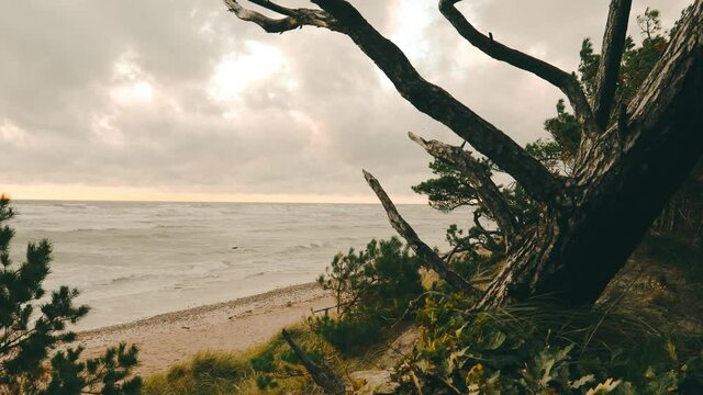 Windy day at Baltic seashore. Sea landscape view. 