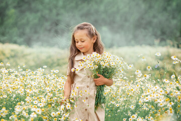 Naklejka na ściany i meble Little cute girl with bouquet of chamomile flowers